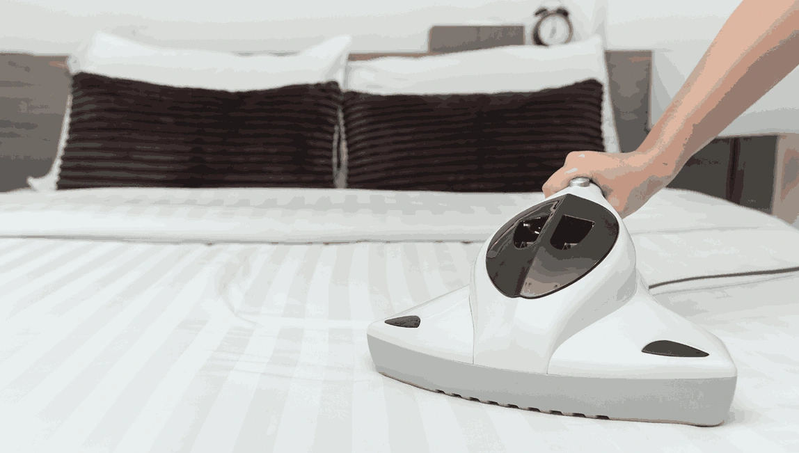 Professional Mattress Cleaning Lara